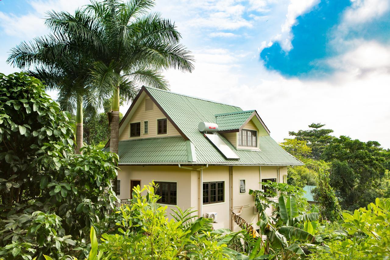 Belle Montagne Holiday Apartments Grand Anse  Eksteriør bilde